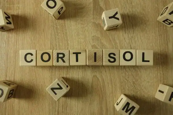The Hidden Connection: How Stress Shapes Your Fitness and Body Composition 2 Image saying "Cortisol" and how stress Tetbury impacts your wellbeing and bodies shape
